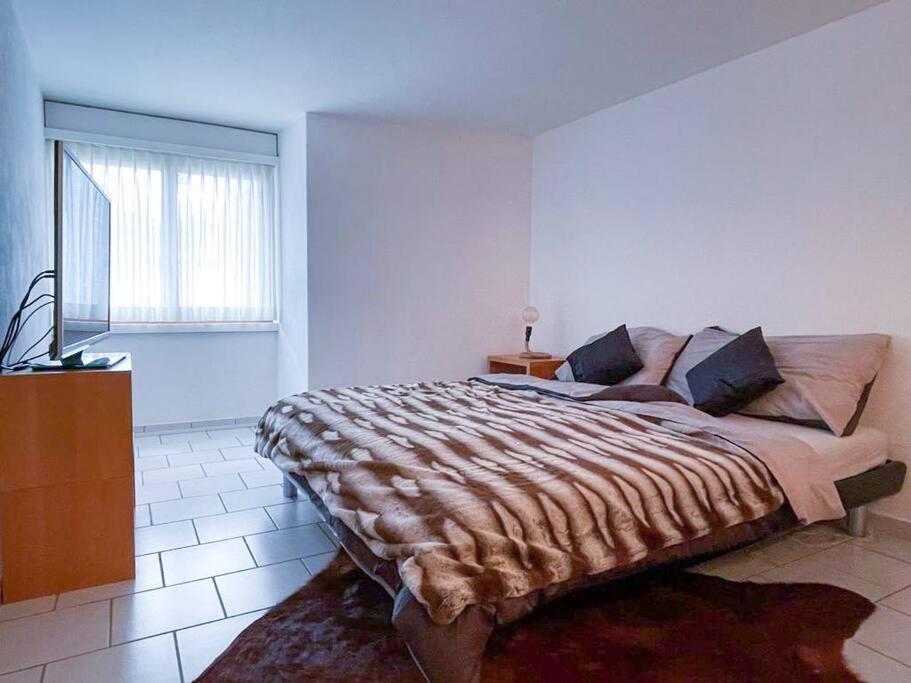 Apartment Private With Parking Spot In The Center Flims